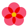 Flowers & Gifts